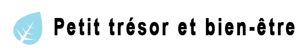 PETIT TRESOR logo