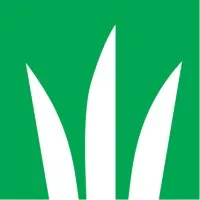 DLF FRANCE logo