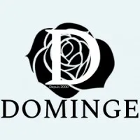 DOMINGE JEAN-PIERRE logo