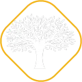 HOLLYANNES logo