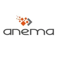 ANEMA (ANEMA FORMATION - ANEMA DEVELOPPEMENT -) logo