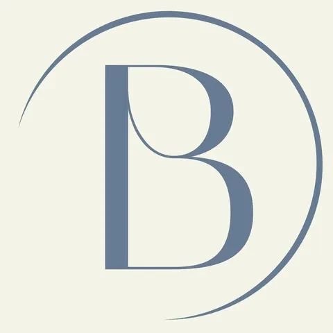 BOULE DE NEIGE logo