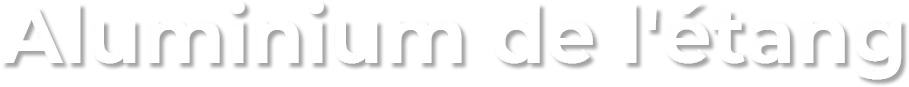 TALLONE CHRISTIAN logo