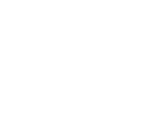 LEVRON SERVICES logo