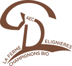STEPHANE DELIGNIERES logo