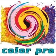 Voici le logo de la marque COLOR PRO qui représente son identité graphique.