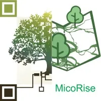 INFOGRAPHIE ET PAYSAGE (INFOGRAPHIE PAYSAGE BOJARDIN.COM .....) logo
