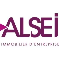 GROUPE ALSEI logo