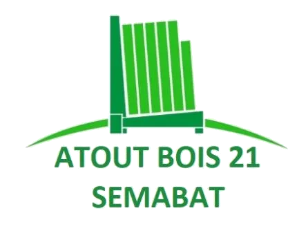 ATOUT BOIS 21 logo
