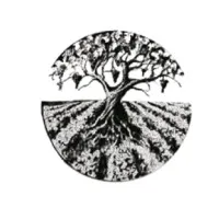 WINES TREE (CYPRES VIN, CLEFS PAPE CLOS PRIEURE) logo