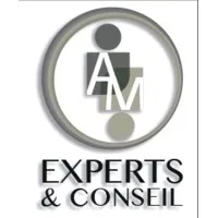 AM EXPERTS logo