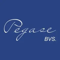 PEGASE - B.V.S (PEGASE HIPPO DISTRIBUTION) logo