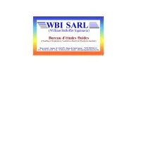 WBI logo