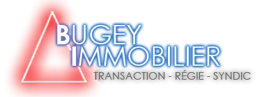 BUGEY IMMOBILIER logo