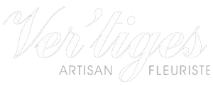 FAVRE FREDERIQUE (VER'TIGES) logo