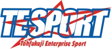 TESPORT (SARL) logo