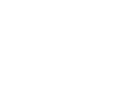 LIGNE GRANIT logo