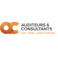 AUDITEURS ET CONSULTANTS logo