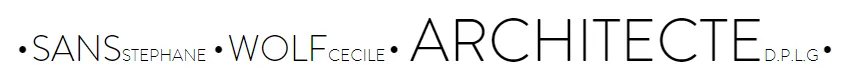 SANS STEPHANE logo