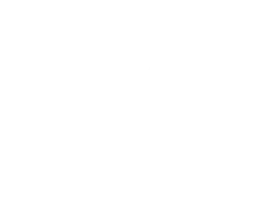 EARL DE BIRADEIL logo