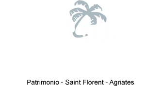 LA PALMA logo