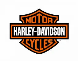 Voici le logo de la marque ACCESS DREAM (Harley Davidson) qui représente son identité graphique.