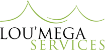 LOU MEGA SERVICES logo