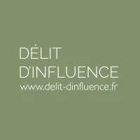 DELIT D'INFLUENCE logo
