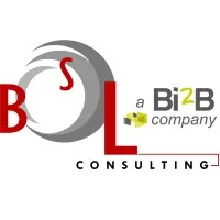BSL CONSULTING logo