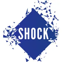 SHOCK INTERIM logo