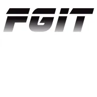 Voici le logo de la marque FGIT qui représente son identité graphique.