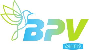 BEARN PYRENEES VOYAGES logo