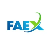 FAEX (FAEX CONSEIL) logo
