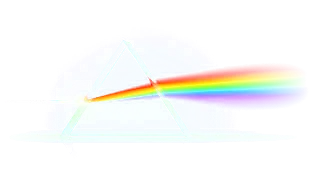 SCI BITWISE logo