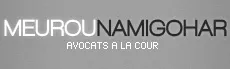 NAMIGOHAR MEUROU logo