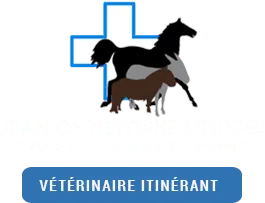 MEUNIER JEAN logo