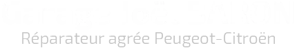 GARAGE BARON JOEL logo