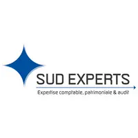 Voici le logo de la marque SUD EXPERTS qui représente son identité graphique.