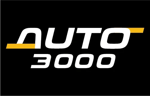 AUTO 3000 logo