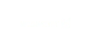 SOEHNLEN OLIVIER logo