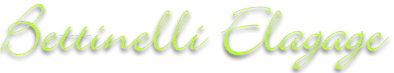 BETTINELLI ELAGAGE logo