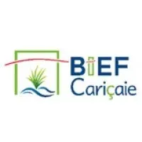 CARICAIE logo