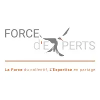 CONSEILS D'EXPERTS SARL (CE) logo