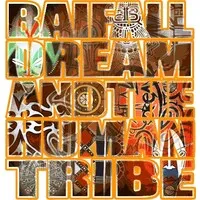 BAIFALL DREAM logo