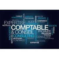 EXPERTISE AUDIT ORGANISATION CONSEIL (EAOC) logo