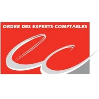 SOCIETE FINANCIER D'EXPERTISE COMPTABLE (SOFINEX) logo