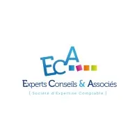 EXPERTS CONSEILS & ASSOCIES logo