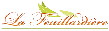 GESLIM logo