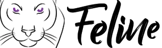 GUYAN'DIS INTERNATIONAL logo
