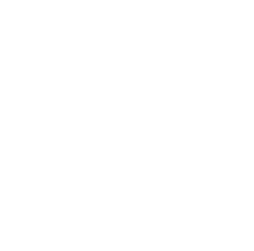 RODELBRICE logo